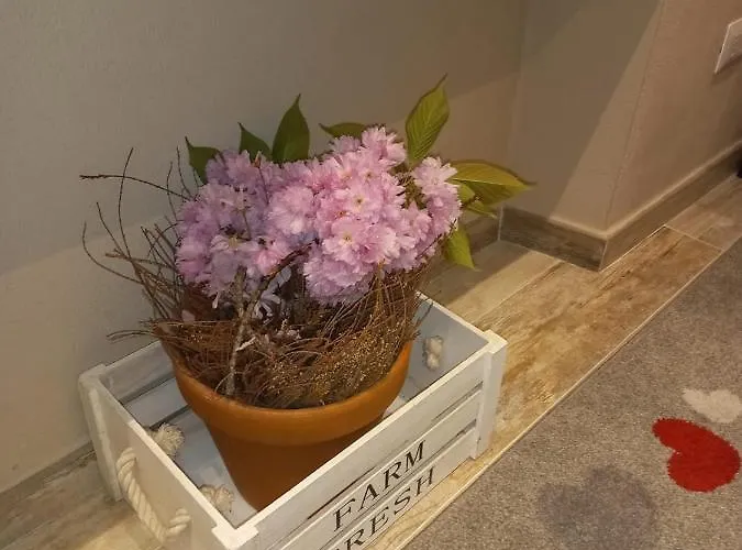 Antico Vicolo - Rebecca شقة *